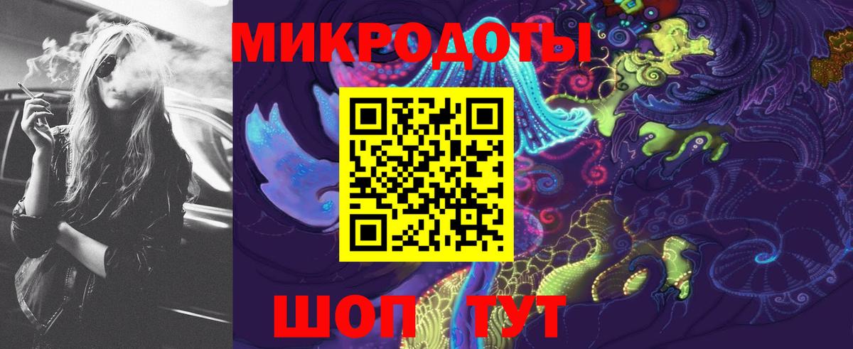 Псилоцибиновые грибы Psilocybe Бердск